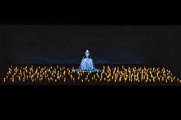 Saul | Copyright: Sandra Then